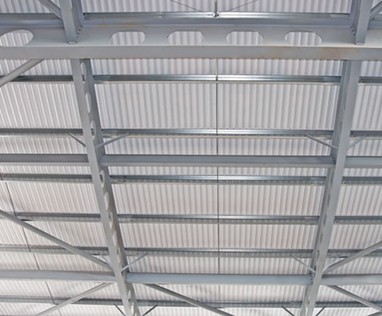 Zed Purlins