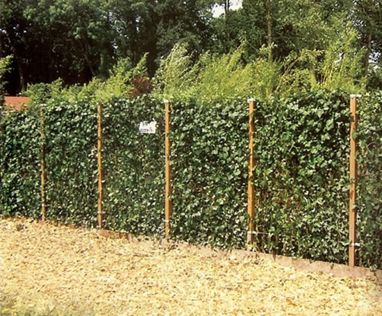 euro fencing systems ltd green screen instant security euro fencing systems ltd green screen instant security