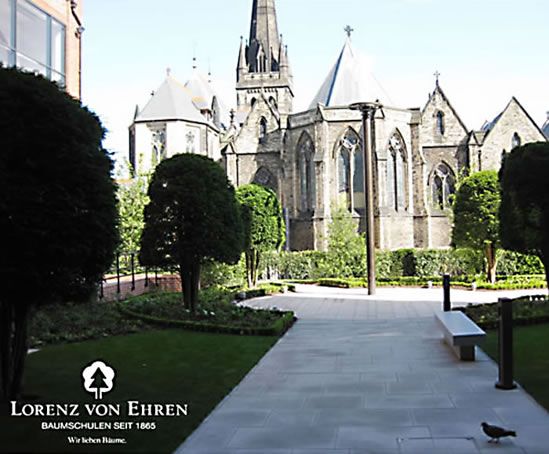 lorenz von ehren app lorenz von ehren app