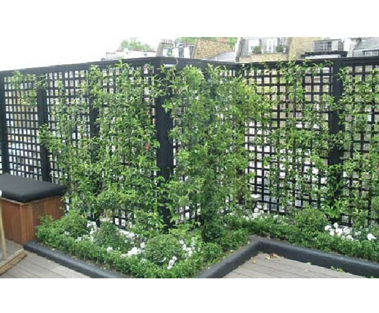 Garden Trellis Panels