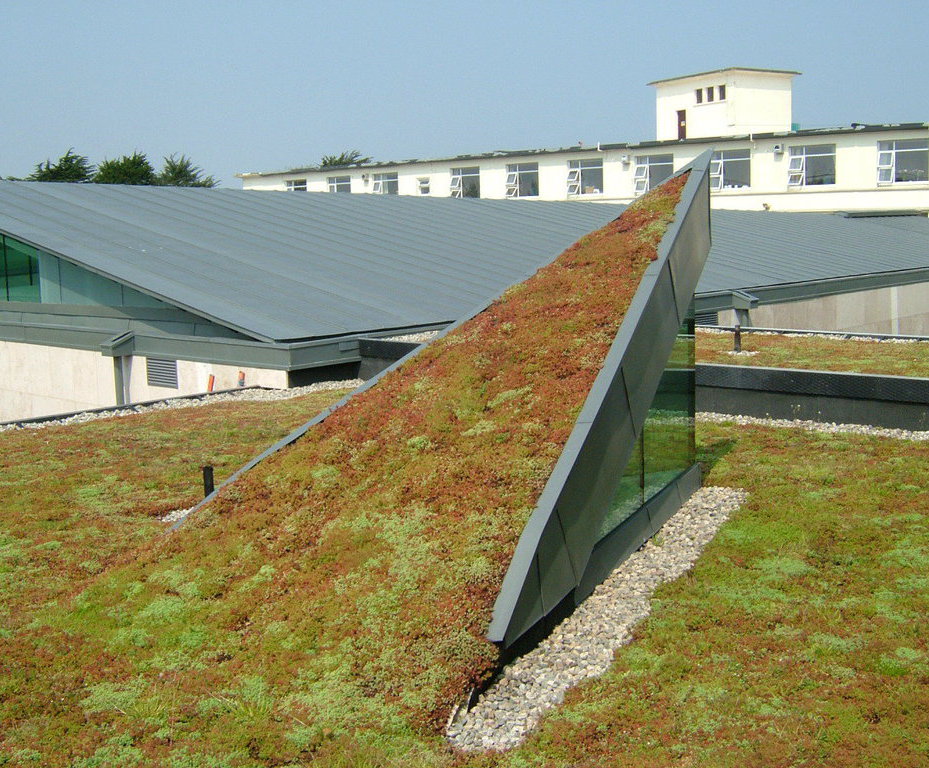 Sedum Mat Instant Vegetation Green Roof Mats Lindum Turf Esi