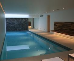 basement swim spa