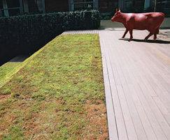 Lightweight roof gardens | Greenscape | ESI Building Design