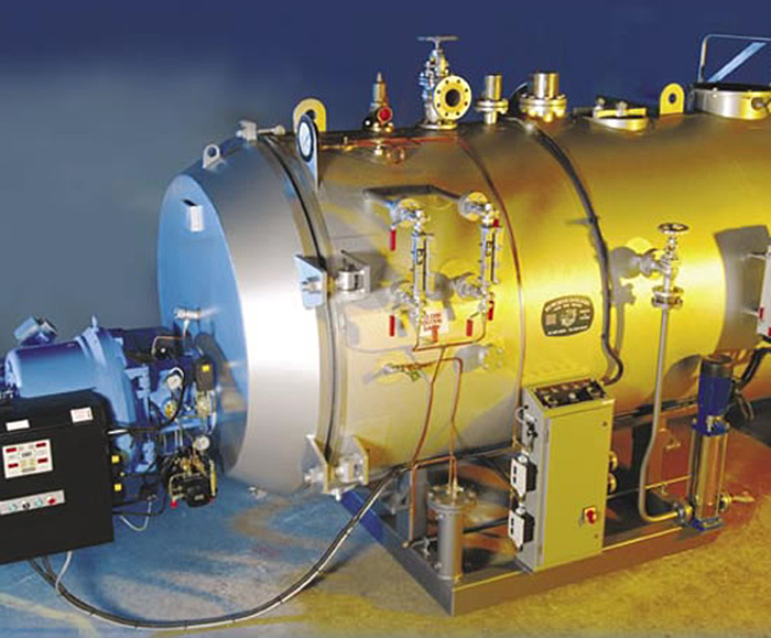 MX steam boilers Byworth Boilers ESI Building Services