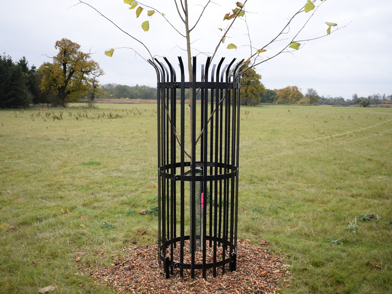 Circular, vertical bar tree guards Paddock Fencing ESI External Works