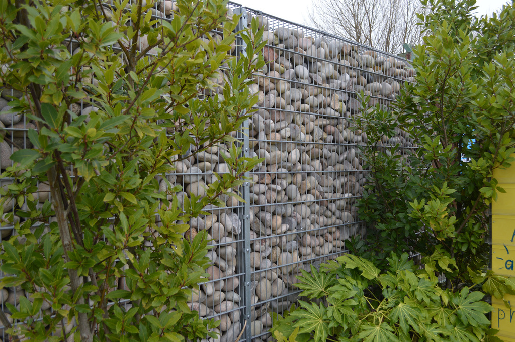 Exempla™ mesh fencing secures animals at Chester Zoo | CLD Fencing ...