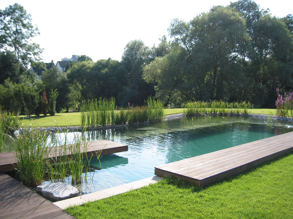 Natural swimming pool design and construction services | Splash Gordon ...