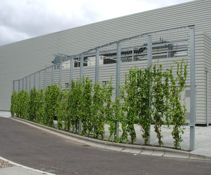 Jakob stainless steel wire trellising MMA Architectural