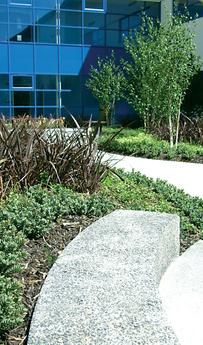 Trees / shrubs, Bradley Stoke Community School, Bristol Dingle
