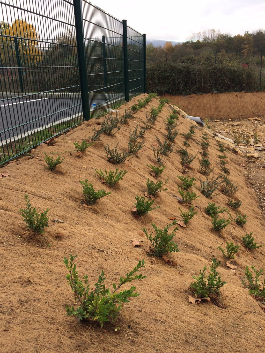 Mulchmat and Mulchspats mulching and weed suppression Greenfix Soil