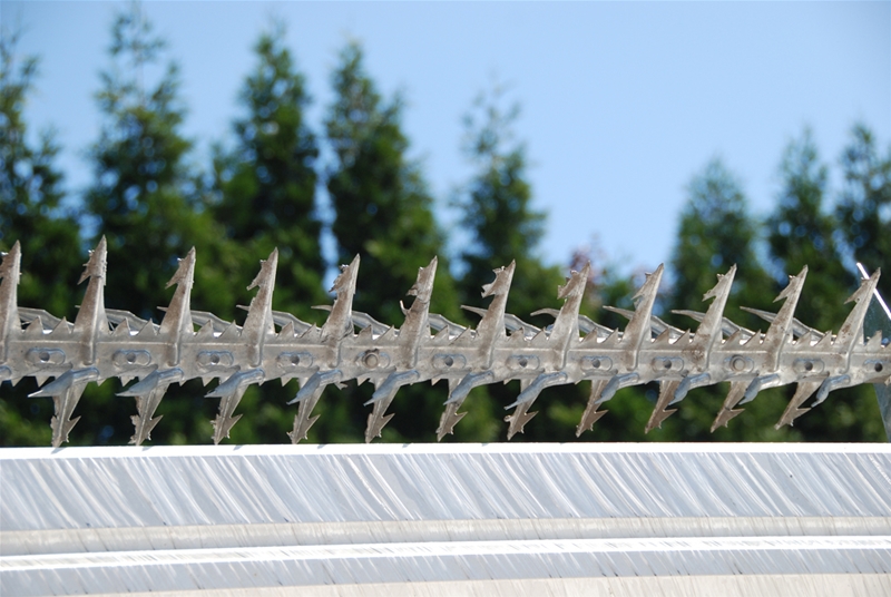 Cobra Spike Rotary security fence / wall topping Jacksons Fencing