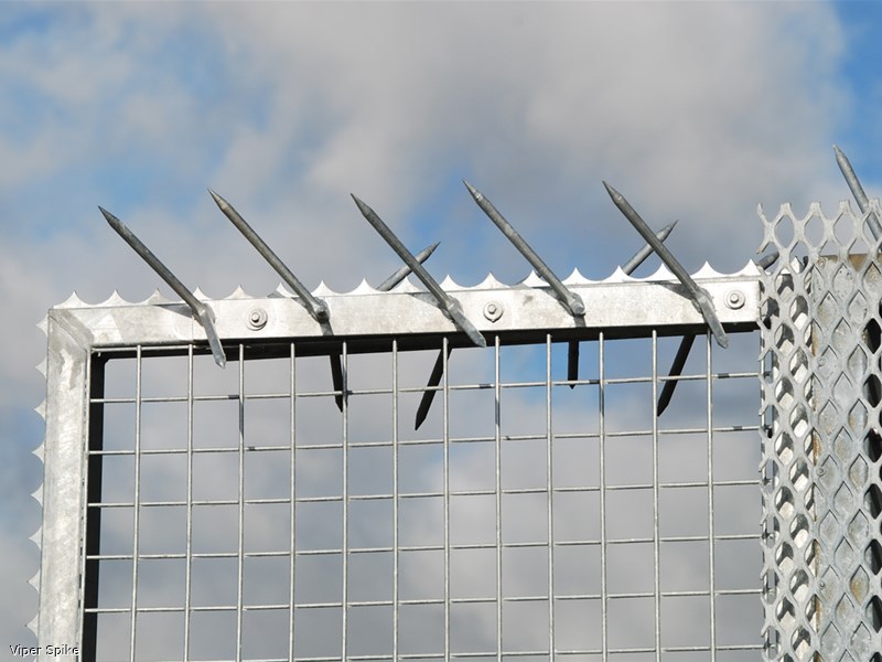 ViperSpike® high security fence / wall topping Jacksons Fencing
