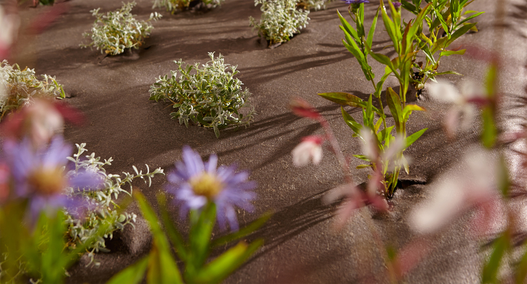 Ecotex MulchMat™ biodegradable weed control fabric HyTex ESI