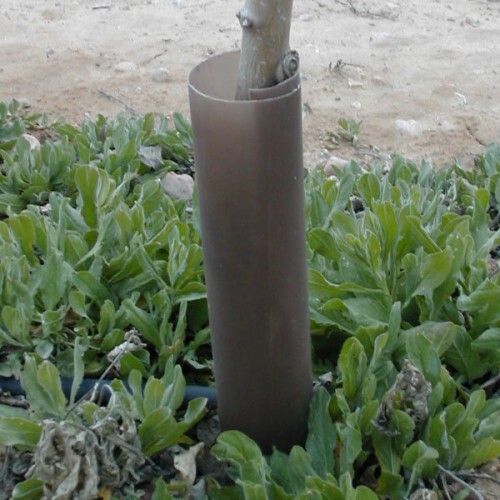 Strimmer Guard for protecting the bases of young trees Toms Tree Ties ESI External Works