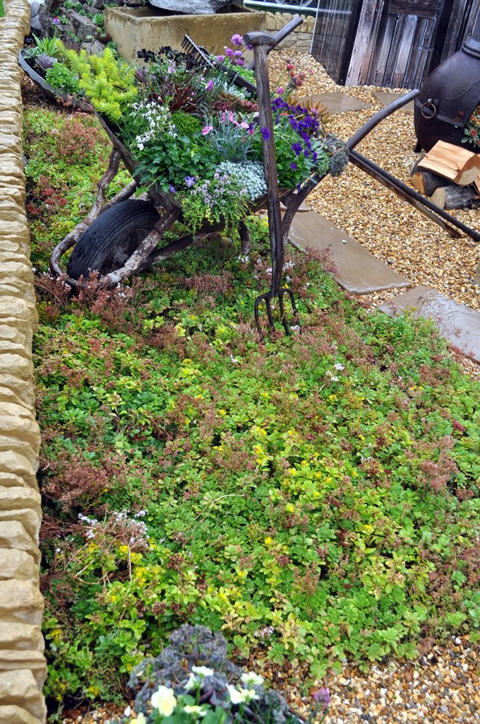 Enviromat sedum mat kit for ground cover Harrowden Turf ESI