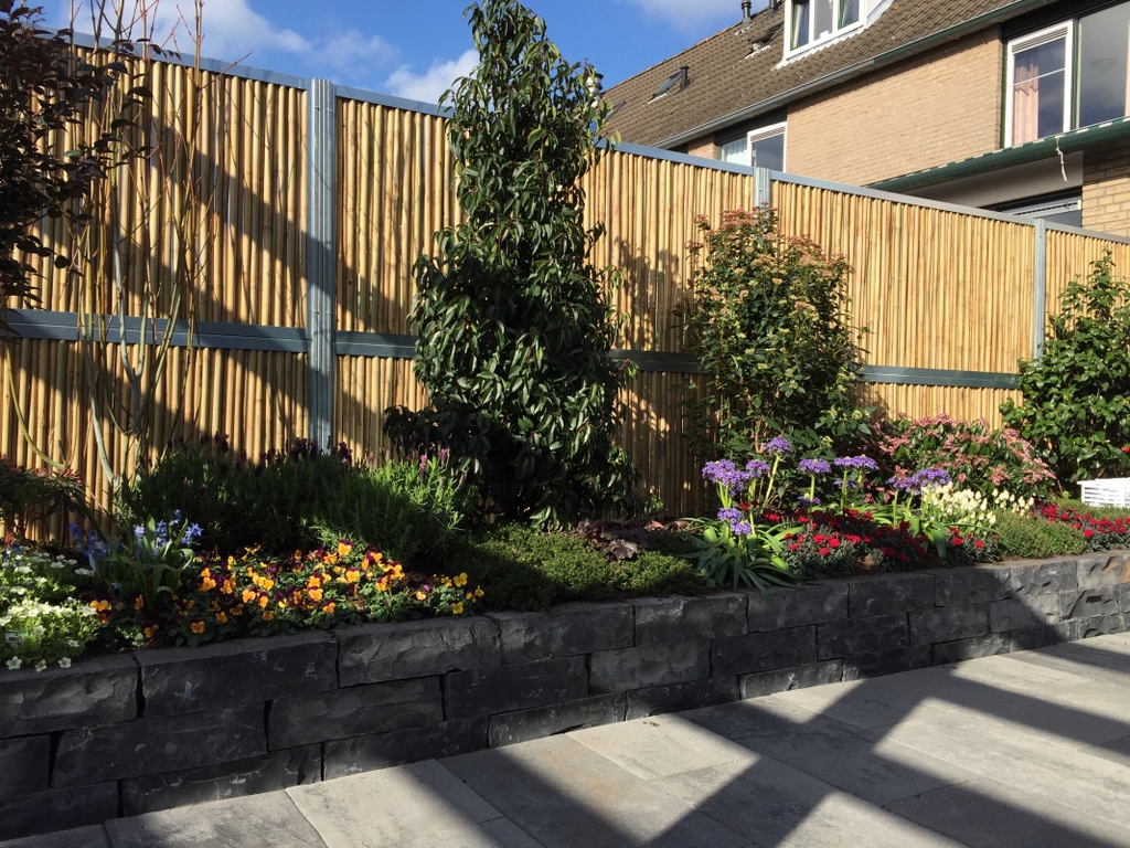 BambooWall® garden screens with bamboo canes | Tendercare Nurseries