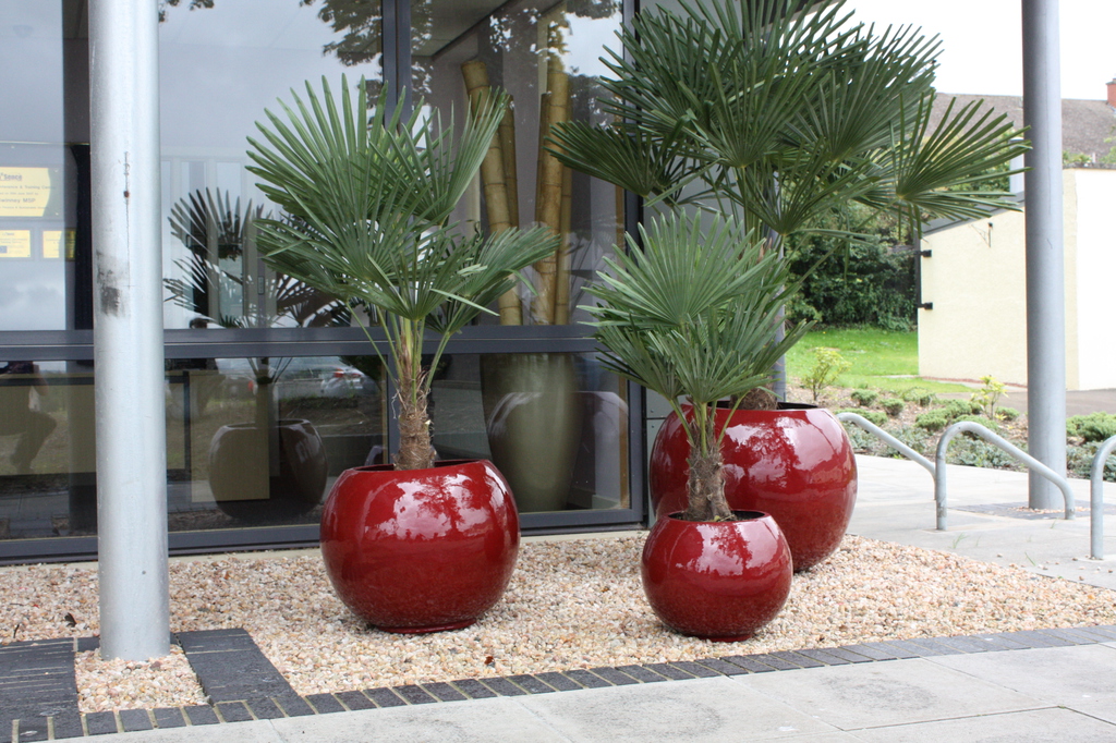 Sphere Planters (Exterior) Livingreen Design ESI External Works