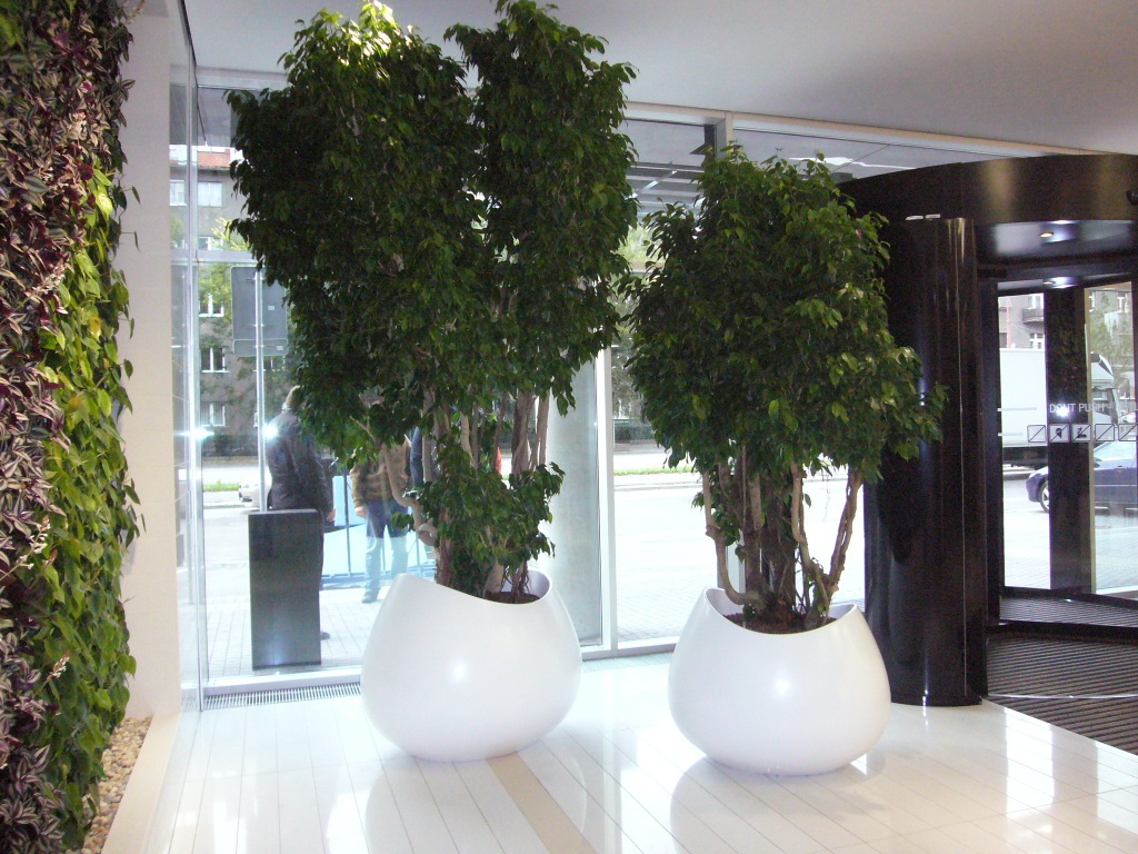 Blob large indoor tree planters Livingreen Design ESI Interior Design