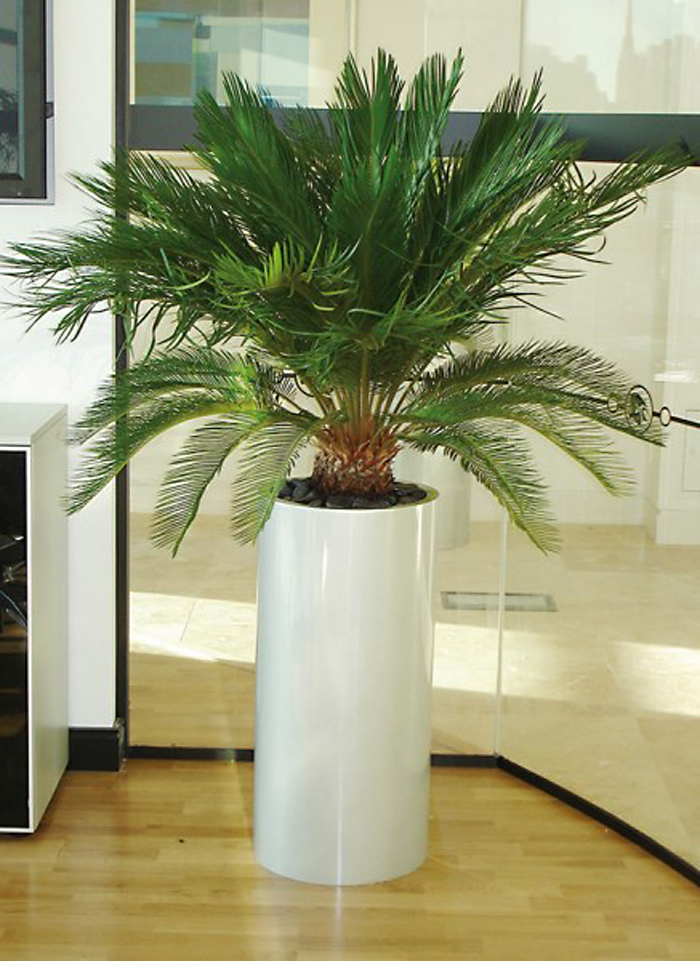 Pillar Planters 