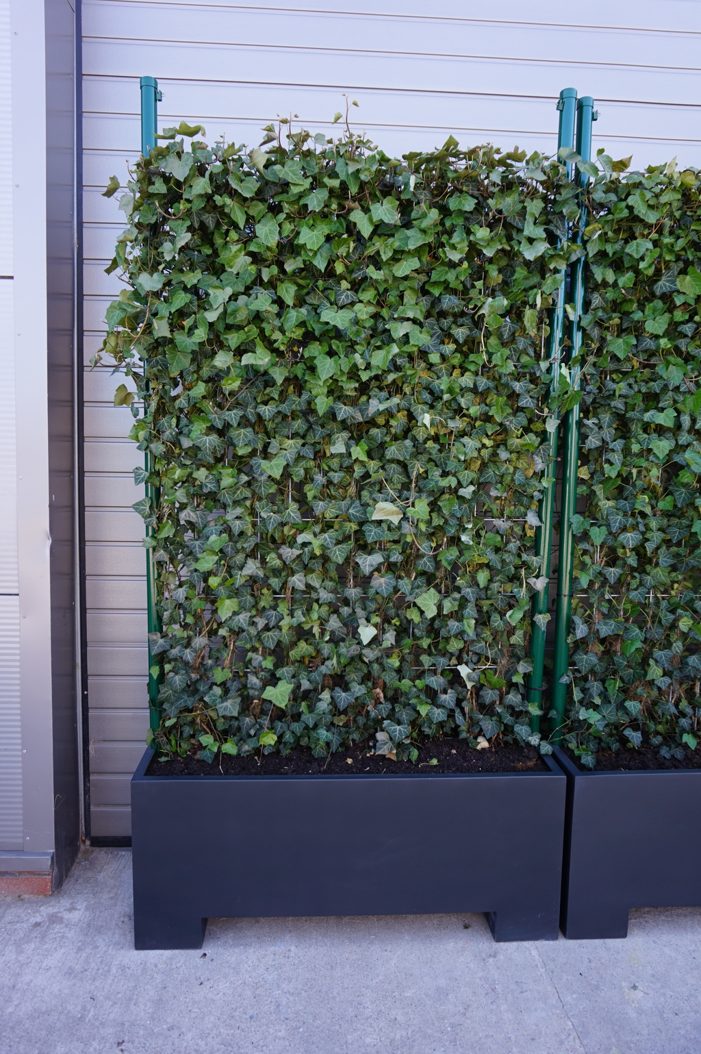 Bespoke mobile barrier planter with screening hedge | Livingreen Design ...