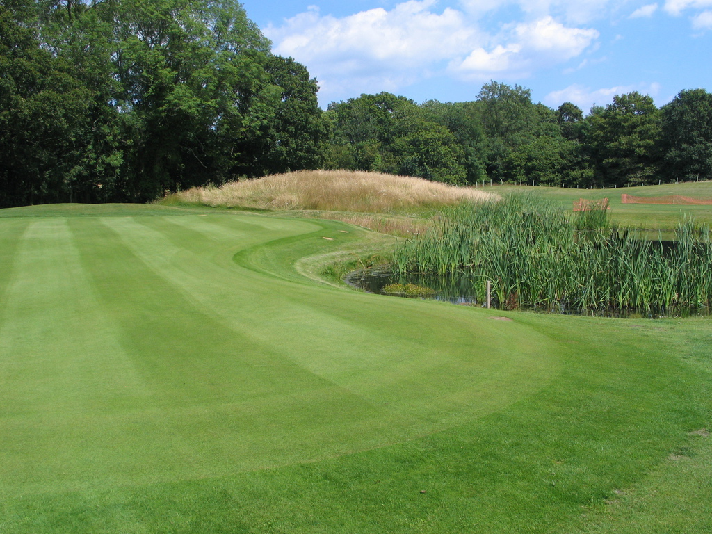 Bespoke grass seed selection for golf course extension Johnsons