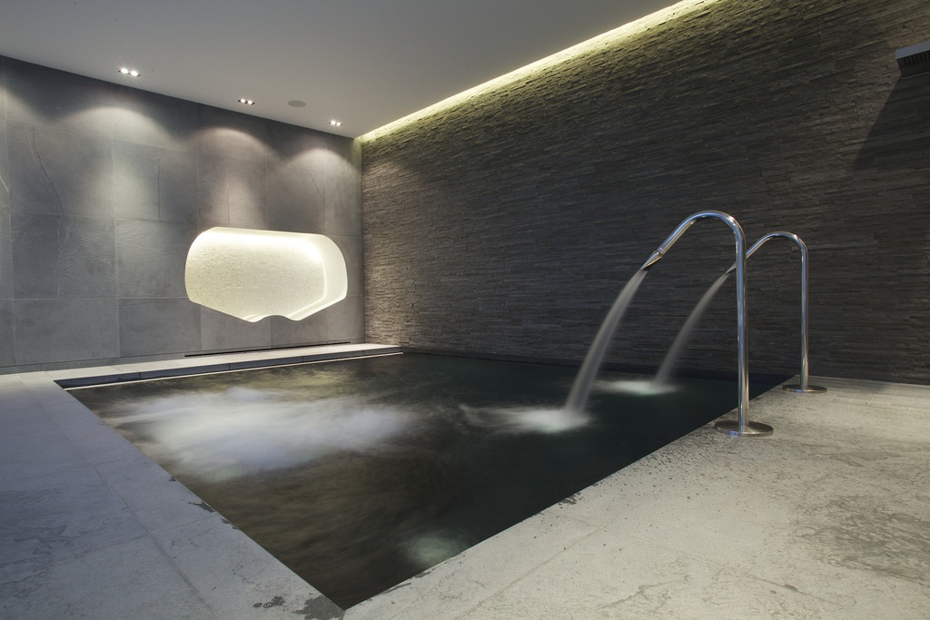 basement swim spa