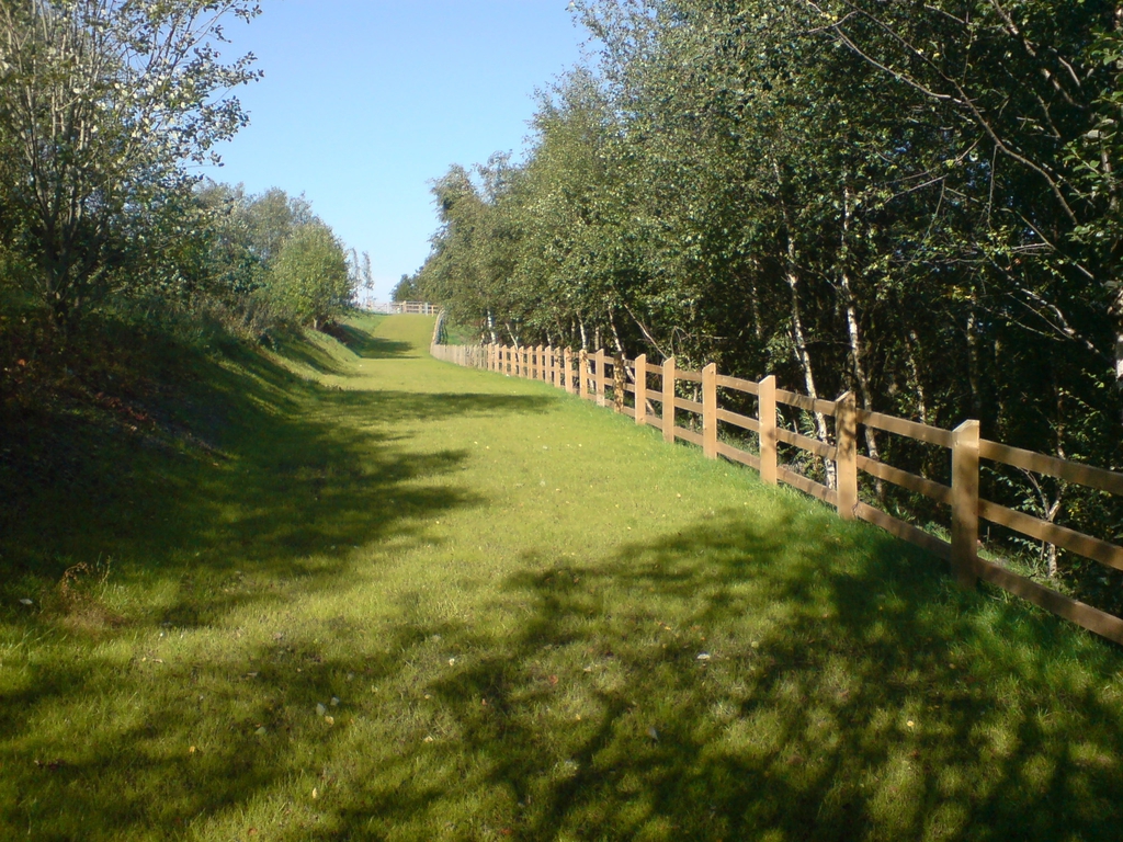 Grassroad plastic pavers | Grass Concrete | ESI External Works