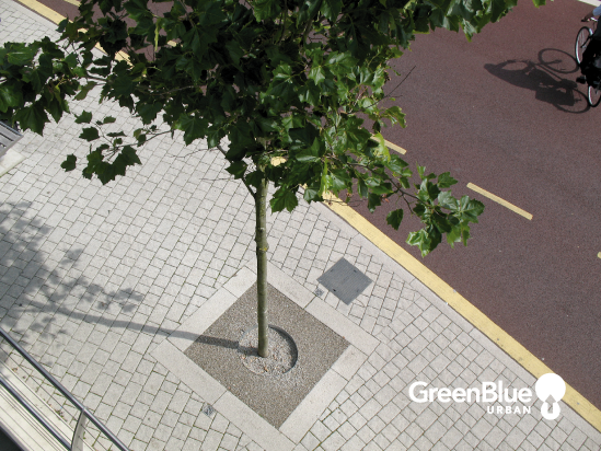 RootDirector preformed root protection system | GreenBlue Urban Ltd ...