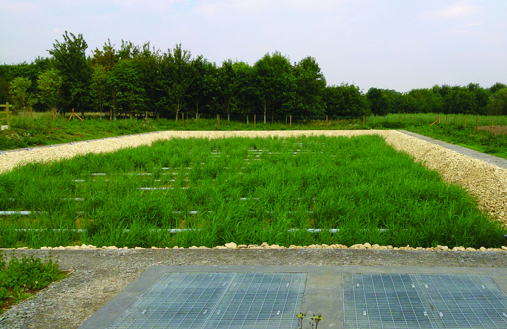 Awardwinning passive reed beds it's not all about FBA ARM Ltd