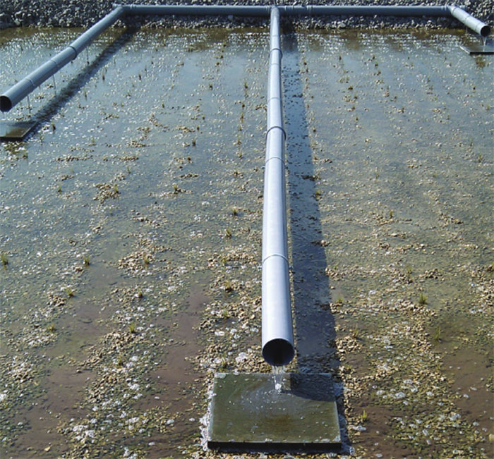 Thames Water invests in FBA™ reed bed ARM Ltd ESI Enviropro