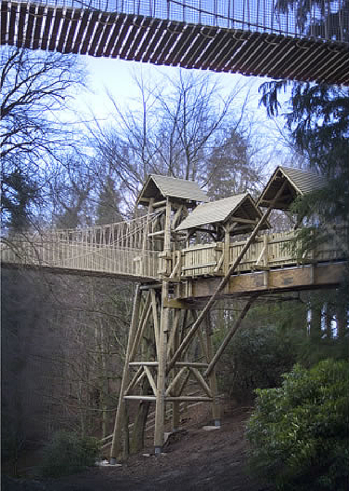 Adventure play aerial walkway, Alnwick Gardens Timberplay ESI