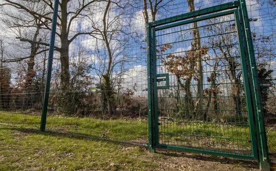 New sports fencing for Grasshoppers Rugby Club | CLD Physical Security ...