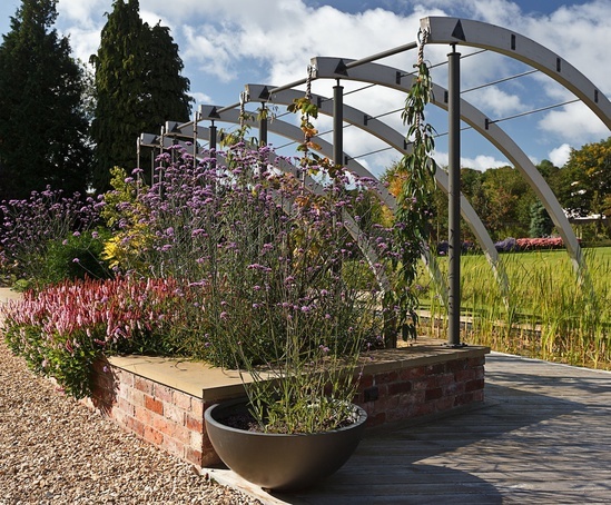 Contemporary walled garden, Cheltenham