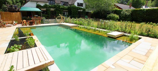 Natural swimming pool and koi pond | Clear Water Revival ...