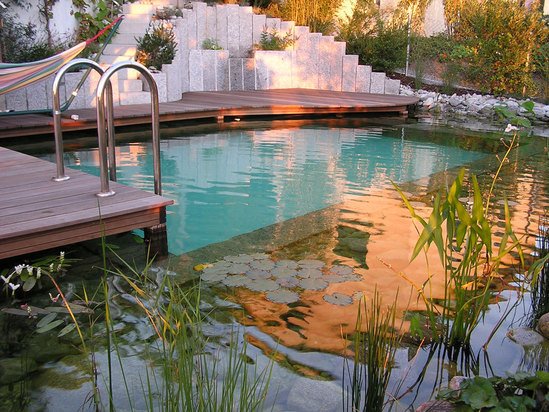 Natural swimming pool design and construction services | Splash Gordon ...