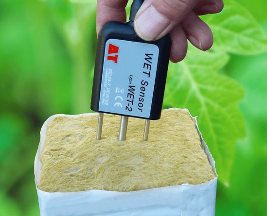 WET-2 Sensor measures soil moisture and nutrient status