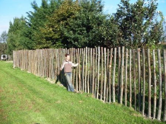 Minimalist Natural Fence 
