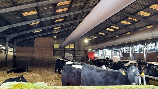 Fabric ducting for agricultural animal housing