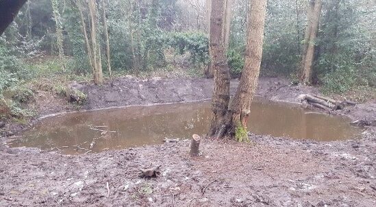 Pond restoration - Scadbury Park