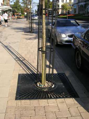 ASF 310 Recycled Cast Iron Tree Grille