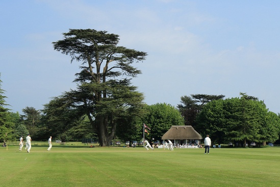 DFL Seeds mixtures used for Goodwood cricket field