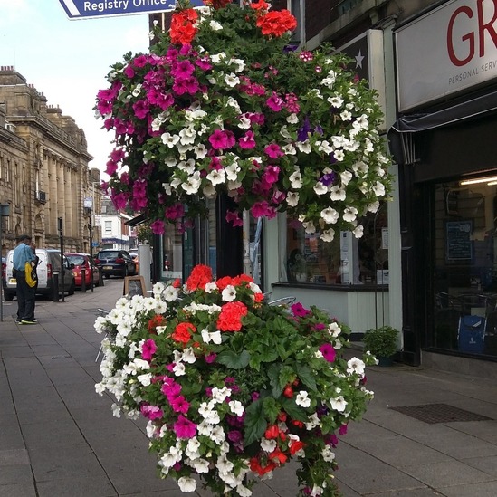 Polemounted flower baskets Plantscape ESI External Works