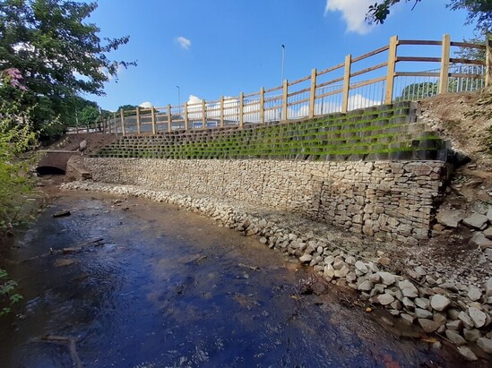 Riverbank after restoration