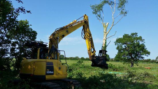 Tree And Vegetation Clearance | Practicality Brown | ESI External Works