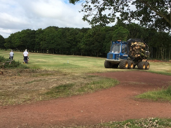Tree clearance on a golf course
