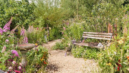 BBC Springwatch Feature Garden by  Jo Thompson