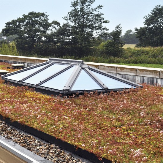 Enviromat sedum matting on green roof