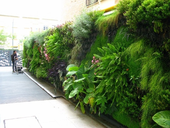 Vertiss Living Wall Green Screen 