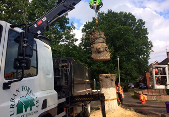Timber lorry removes trunk and cord wood