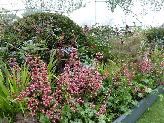 Herbaceous plants for high quality landscapes